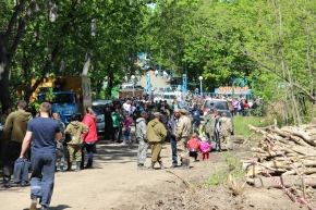 Всероссийский день посадки леса