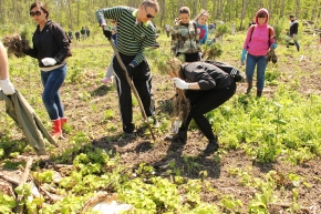 Всероссийский день посадки леса