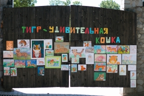 Международный день тигра