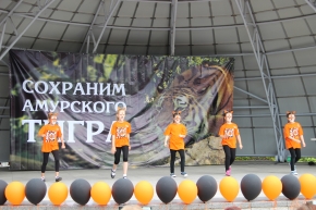 День амурского тигра