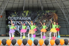 День амурского тигра