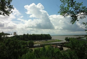 Номинация 