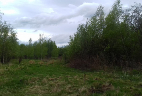 Номинация 