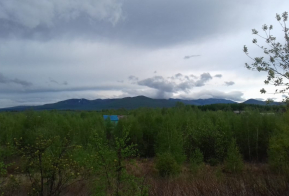 Номинация 