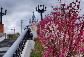 Номинация 