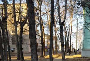 Номинация 