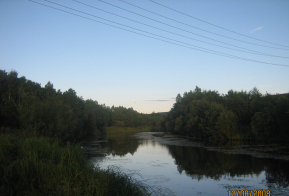 Номинация 