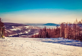 Номинация 