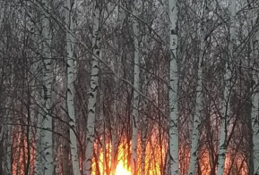 Номинация 