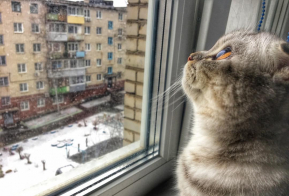 Номинация 