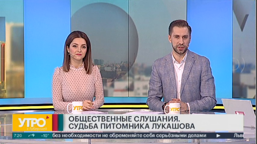 Перейти к новости Общественные слушания о судьбе питомника Лукашова в Хабаровске пройдут 18 марта 2020