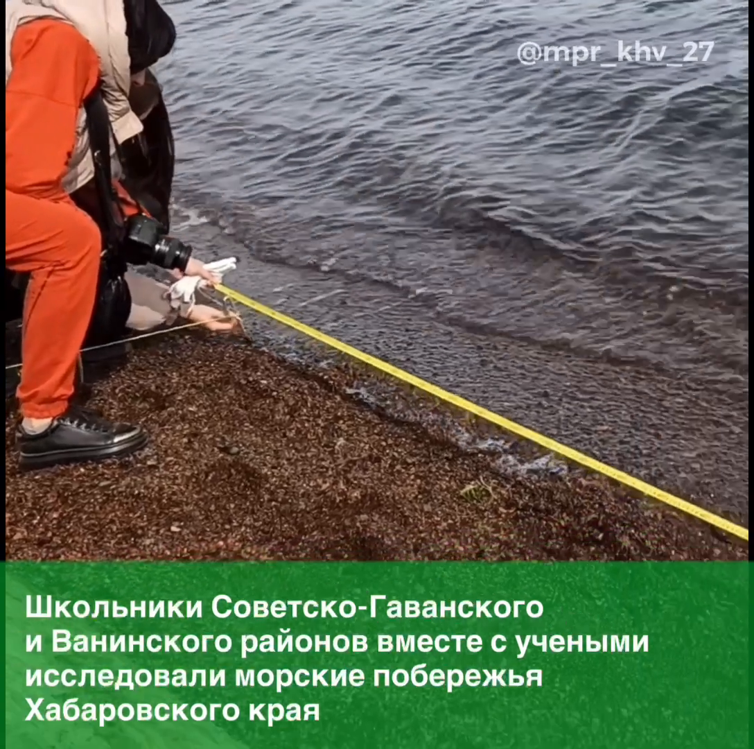 Школьники Советско-Гаванского и Ванинского районов приняли участие в международном экологическом проекте  